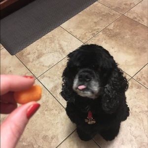 Meet your Posher, Heather